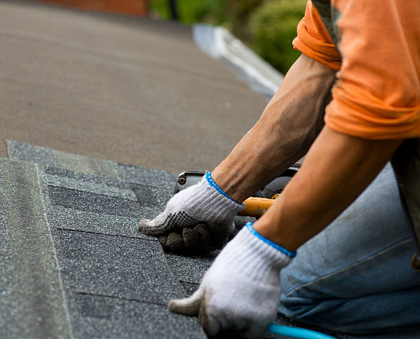 Best Roof Maintenance Services  in Hazlehurst, MS